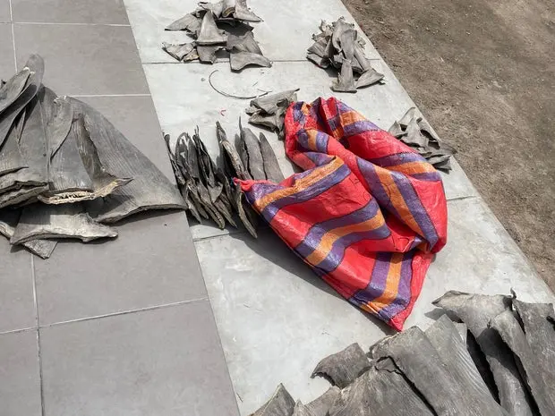 تصویر شماره 0426.jpg